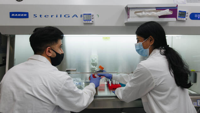 Lab associate hands chemical solution to another lab associate under the protective glass of a biosafety cabinet