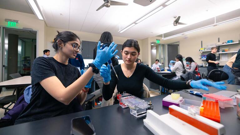 USF students working on a lab together