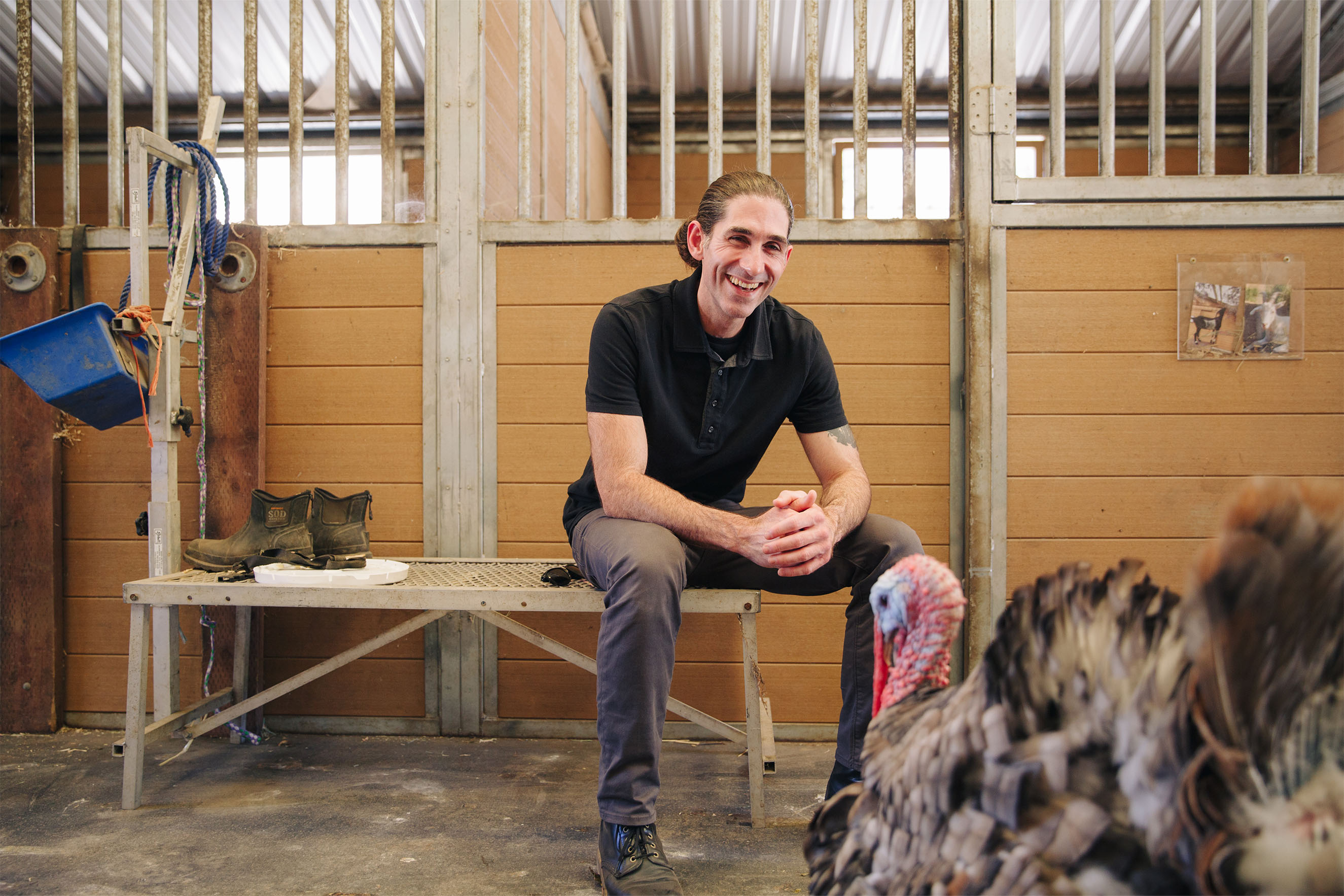 Student sits in a barn near a turkey