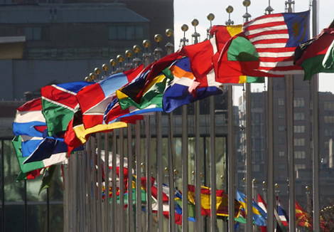 UN flags in New York