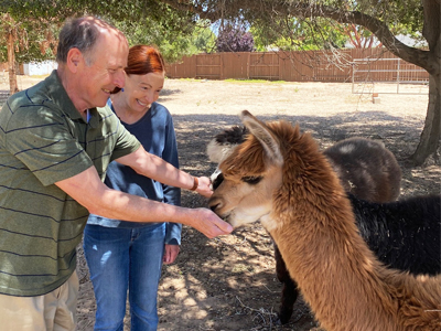 Michael and Jaime Damer petting an alpaca
