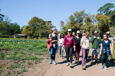 Class excursion at the farm