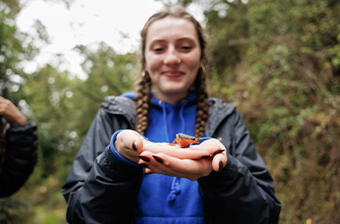 Horizon Collective at Star Route Farms