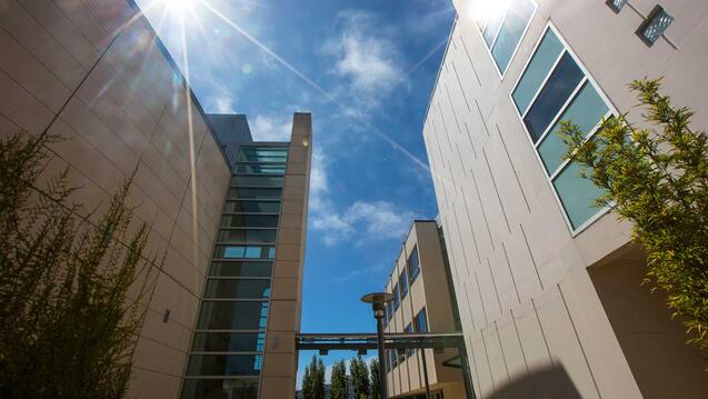 Two buildings on USF campus.