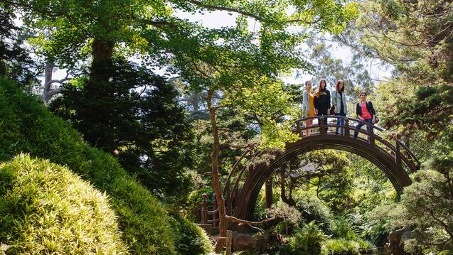 Students stand on a curved bridge in Golden Gate Park's Japanese Tea Garden.
