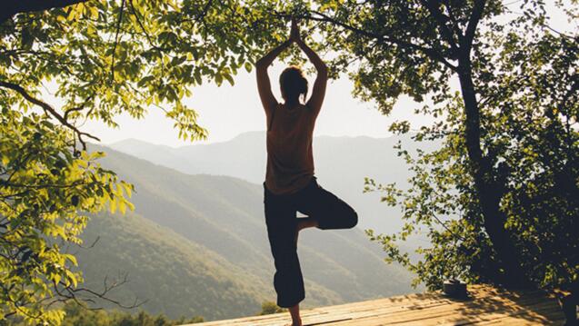 Read event detail: Living Landscapes: Yoga and Ecology