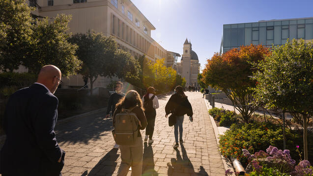 Read the story: Dr. Eileen K. Fry-Bowers, Dean of the University of San Francisco School of Nursing and Health Professions, Joins the California Association of Colleges of Nursing Board of Directors as Chair of the Policy Committee