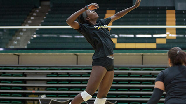 Read event details:  USF Women&#039;s Volleyball vs Pepperdine - White Out