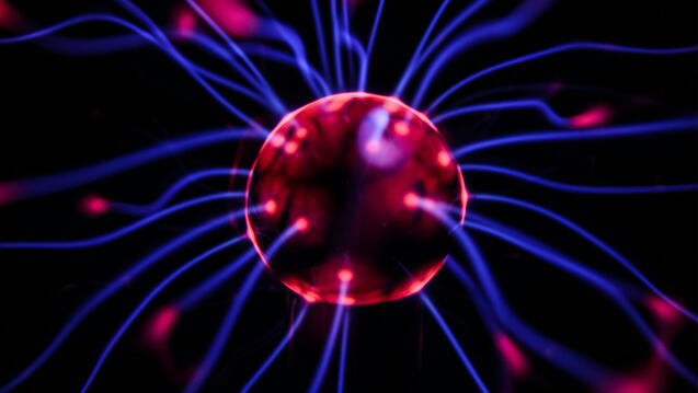 Brain plasma
