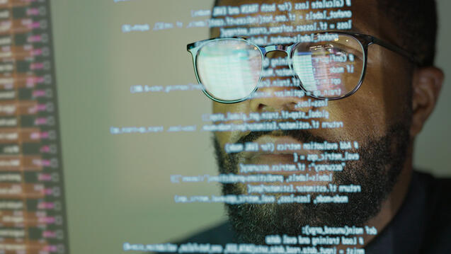 Person reads data on a computer screen