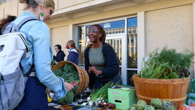 Read event details: USF Market Day