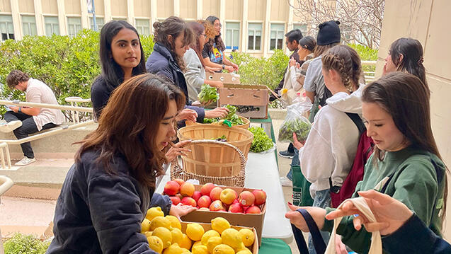 students visit the food pantry on usf campus