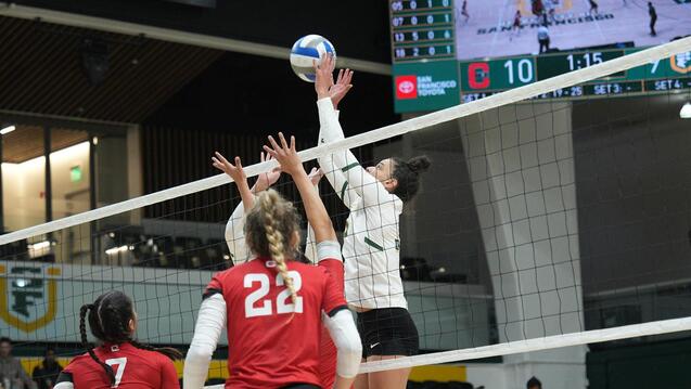Read event detail:  USF Women&#039;s Volleyball vs Portland State vs. Long Beach State