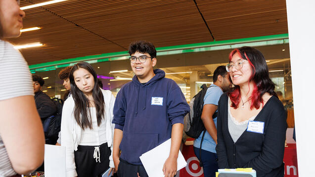 Read the story: USF Student Internships Shape Career Paths