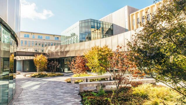 Read event detail: Virtual International Information Session
