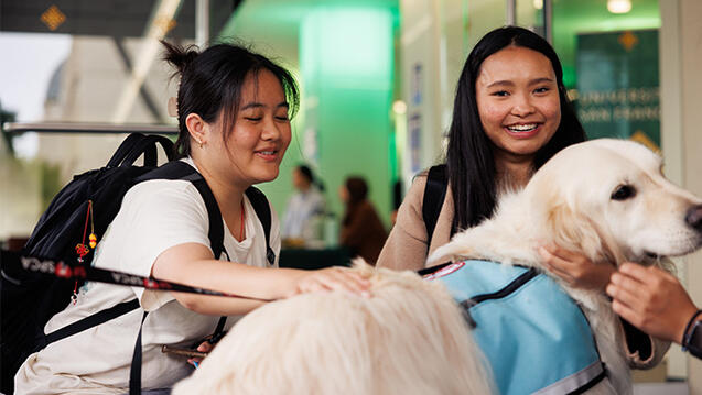 Two students petting a therapy dog