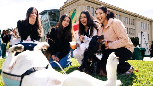 Read the story: Dons Go All In on Day of Giving