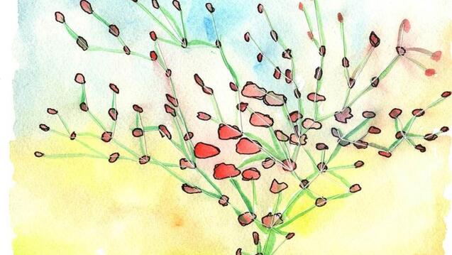 Read event detail:  GoUSF: USF Launches One Earth Initiative Action Plan 
