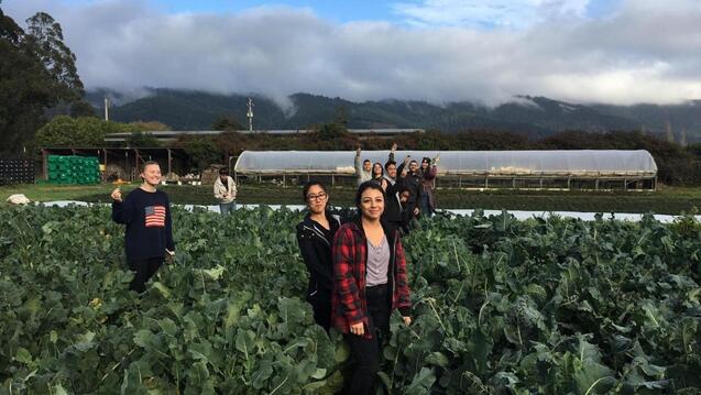 Read event detail: GoUSF: Star Route Farms—Experiential learning at California’s oldest continuously operating certified organic farm
