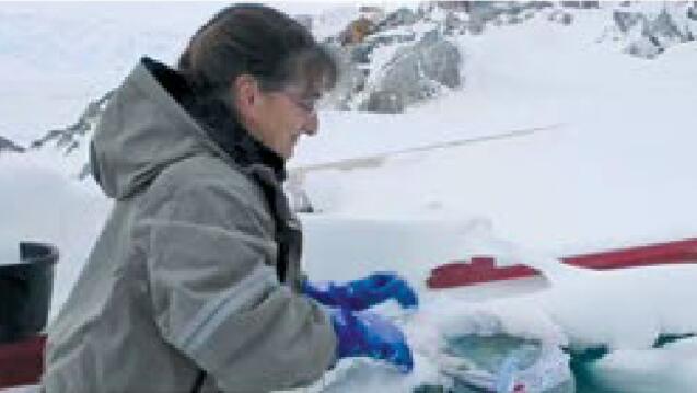 photo of Deneb Karentz in Antarctica