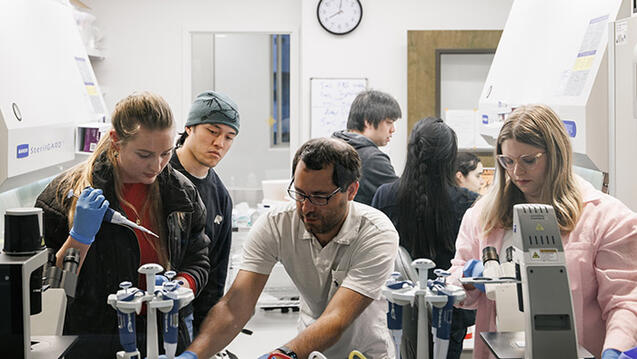 students doing lab work in a classroom