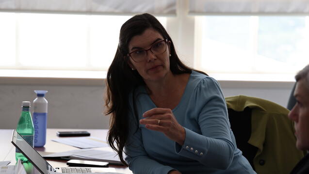 Read the story: We Welcome Rosalind de Lisser, PhD, PMHNP-BC, FNP-BC, to USF SONHP