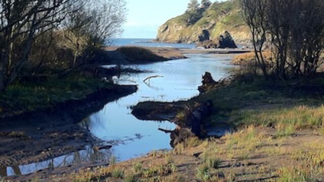 Read the story: Assistant Professor Gretchen Coffman and Two Graduating MSEM Students Present Redwood Creek Restoration Research Results