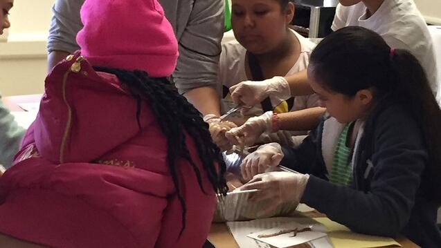 Read the story: USF Biology Upward Bound Hosts Hands-On Marine Biology Workshop