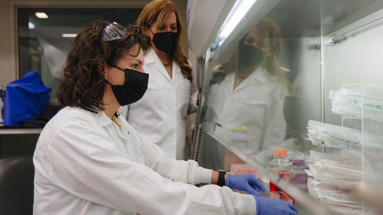Two lab associates in protective gear handle chemicals in front of biosafety cabinet