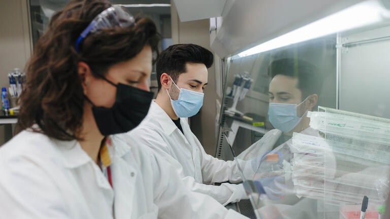 Two lab associates handle equipment while reaching into biosafety cabinet
