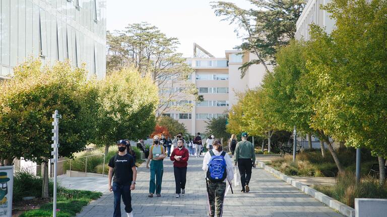 Students walk down a wide pathway through campus.