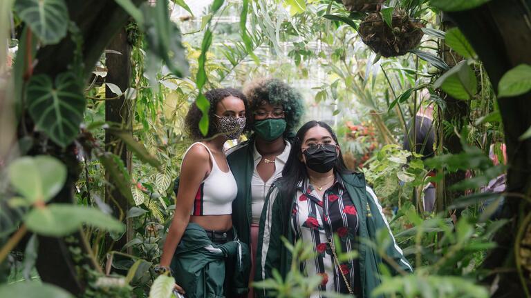 Students stand together among plants in the conservatory of flowers