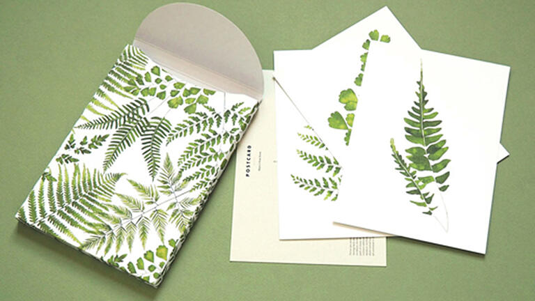 Colorful invitations with plant designs.