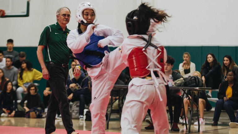 2 Taekwondo fighters with head gear sparring on the mat