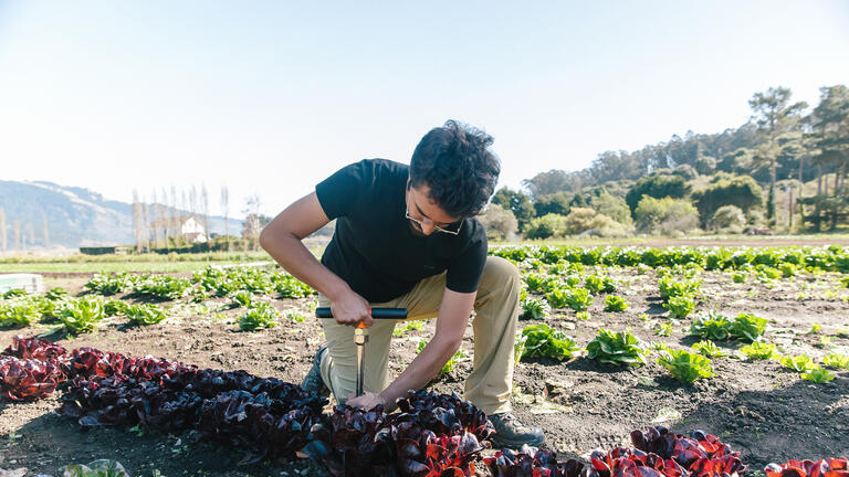 Worker planting crops at Star Route Farms