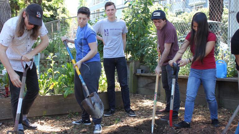 Small group of people dig in garden with shovels
