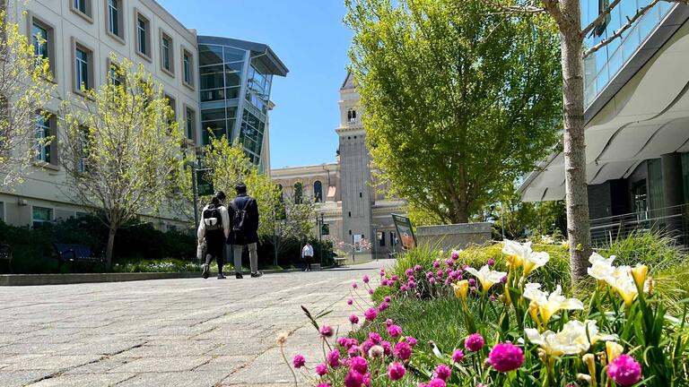Walkway on main campus with flowers in bloom.