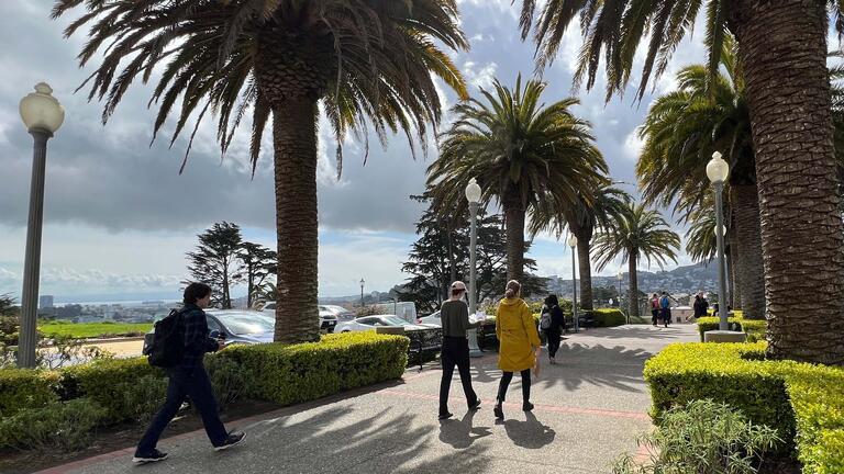 Students walk on palm tree lined pathway on Lone Mountain.