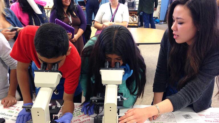 Students using a scientific microscope