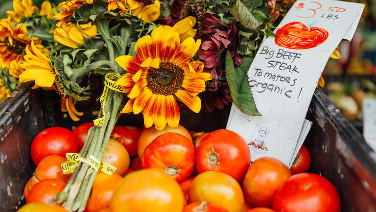 Basket of tomatoes and flowers with sign that says "$3.50 lb, big beef steak tomatoes organic!" 