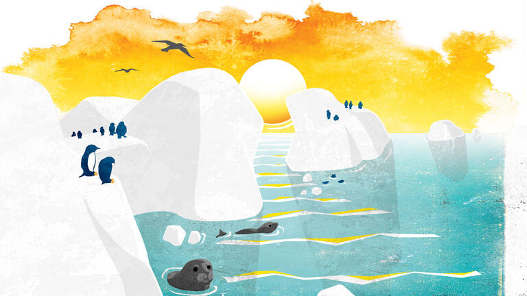 Illustration: Melting glaciers with seals and penguins in Antarctica