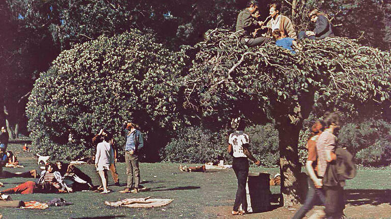 Students hanging out on the lawn and sitting in a tree.