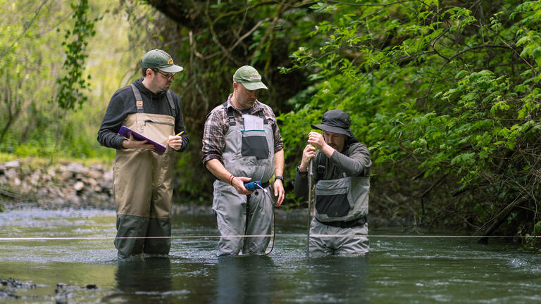 Three people taking measurements standing in a stream.