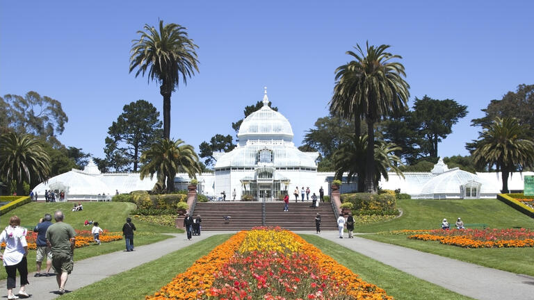 Conservator of flowers