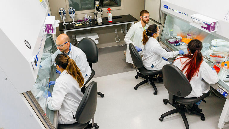 USF students working in a lab