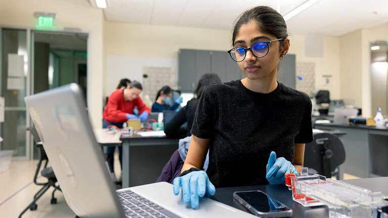 USF student working on laptop in lab
