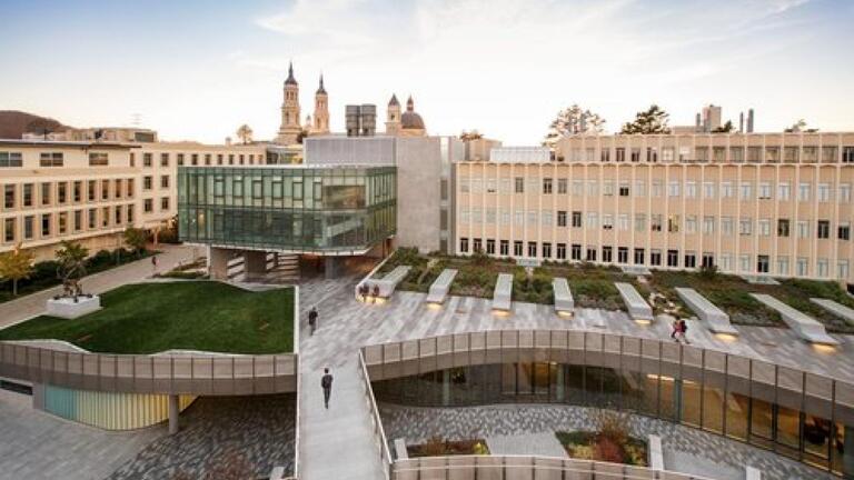 usf campus