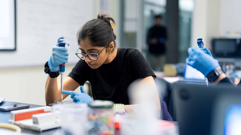 USF student working in a lab