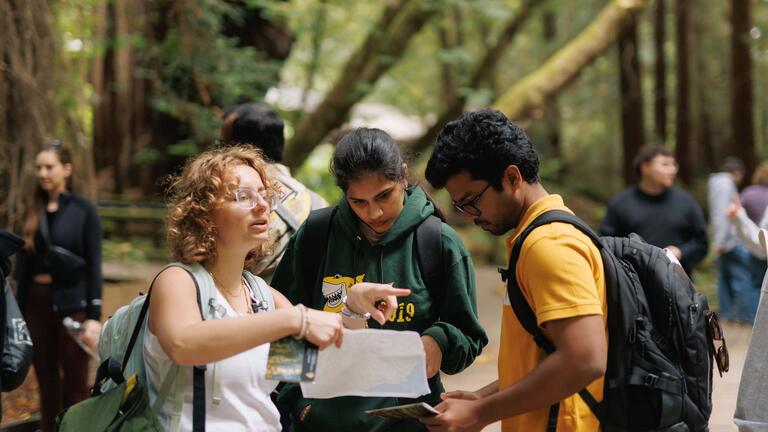 USF students in a forest
