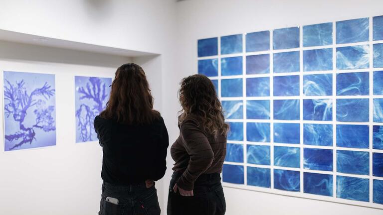 Two students looking at a wall exhibit.
